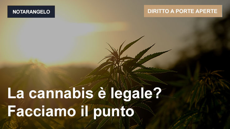 La Cannabis è legale ?