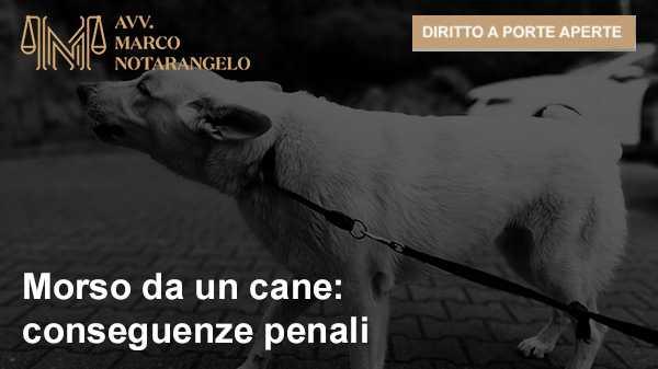 Morso da un cane: conseguenze penali