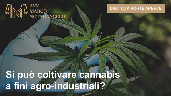 SI PUÒ COLTIVARE CANNABIS A FINI AGRO-INDUSTRIALI?